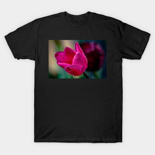 Close-up of a pink tulip T-Shirt by blossomcophoto